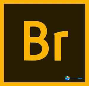 Adobe Bridge 2020 v10.1 Full Türkçe İndir (Ücretsiz)