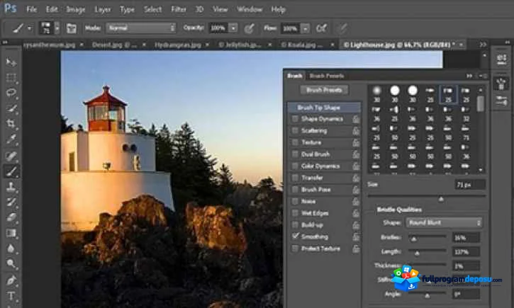 Adobe Creative Suite 2 (CS2) Full İndir ekran görüntüsü