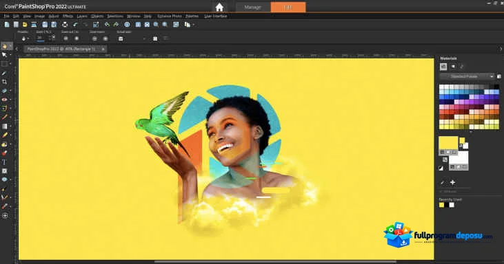 Corel PaintShop Pro 2023 İndir ekran görüntüsü