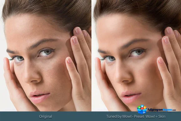 Wow! Tonal Equalizer v1.1 for Photoshop Full İndir ekran görüntüsü